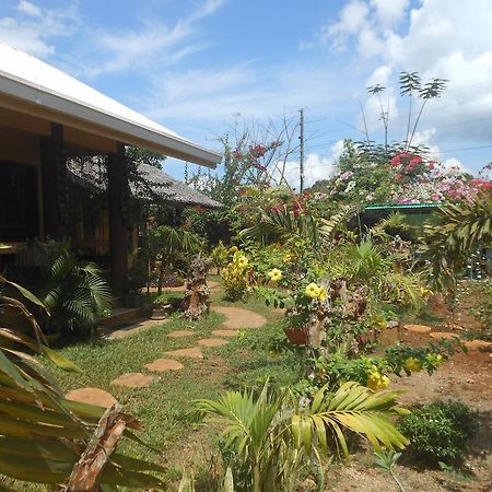 Jungle Flower Guest House San Jose  Exterior photo