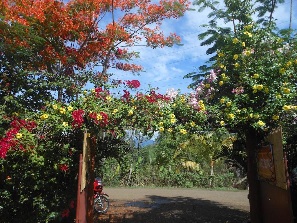 Jungle Flower Guest House San Jose  Exterior photo