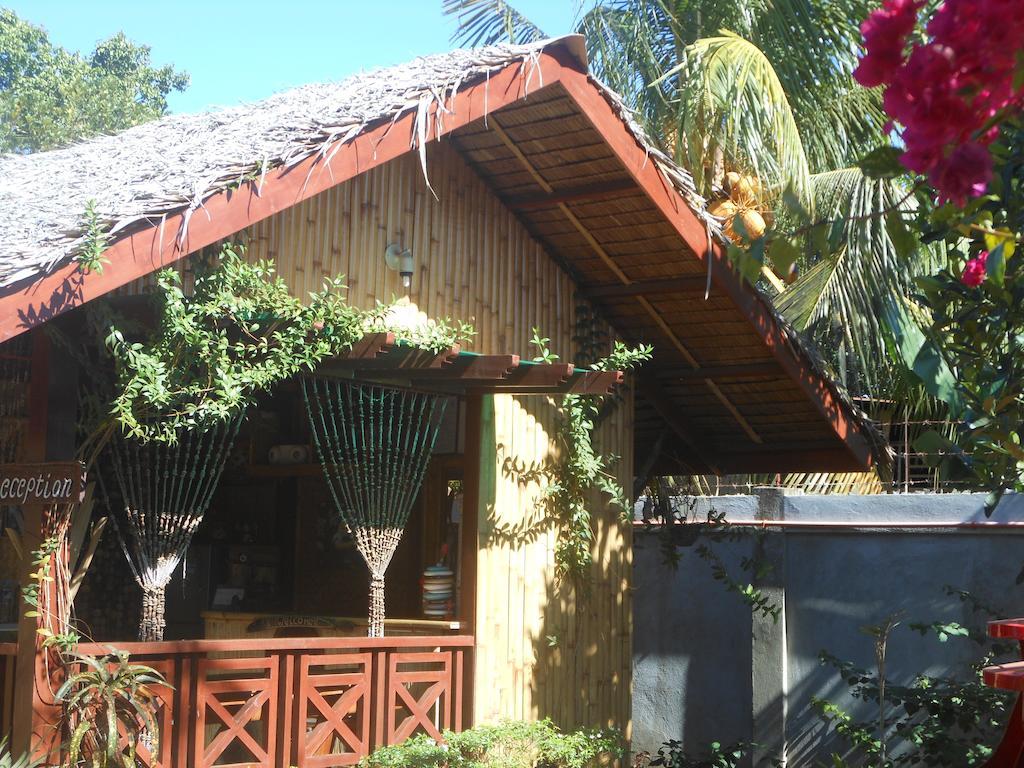 Jungle Flower Guest House San Jose  Exterior photo