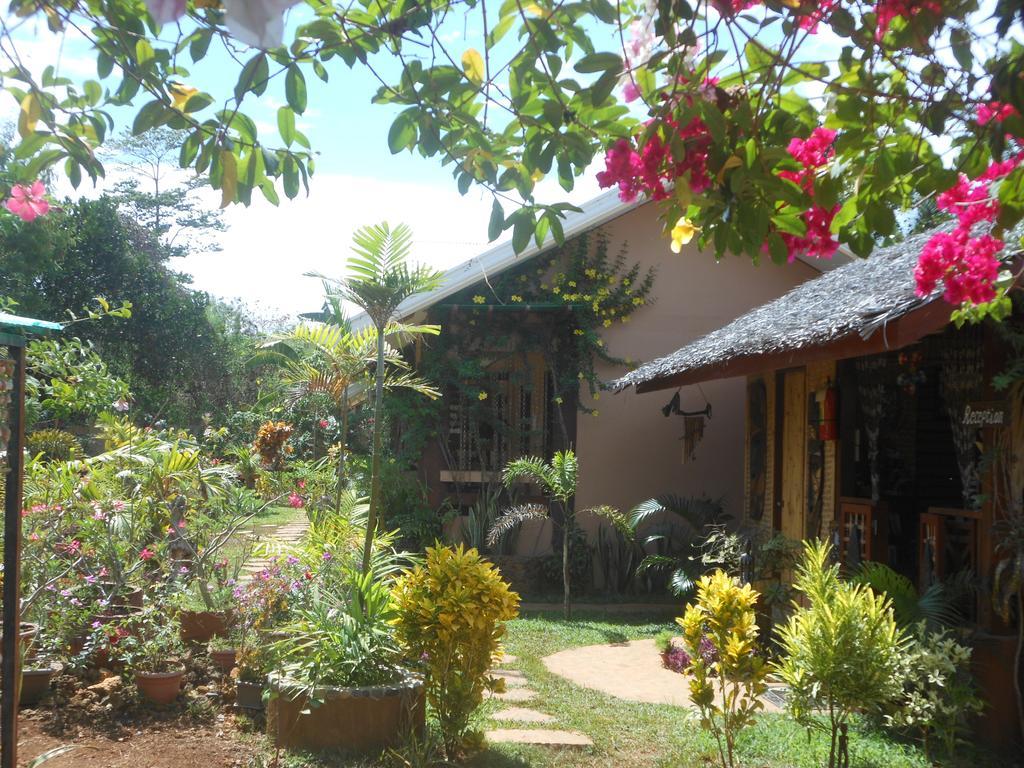 Jungle Flower Guest House San Jose  Exterior photo