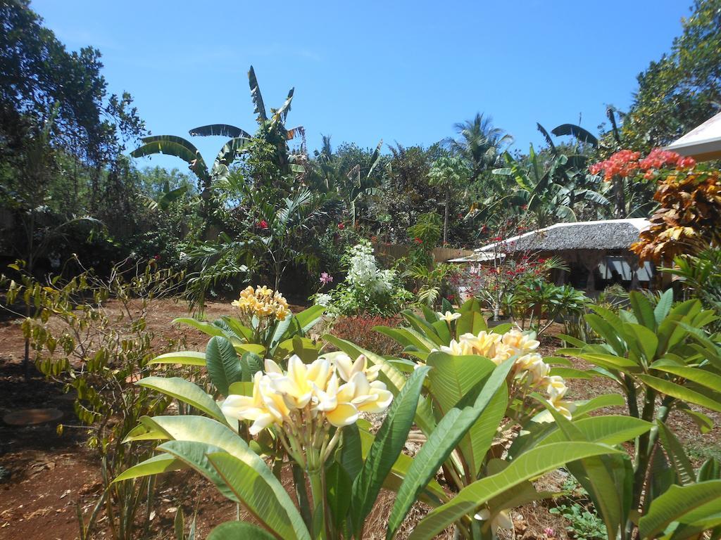 Jungle Flower Guest House San Jose  Exterior photo