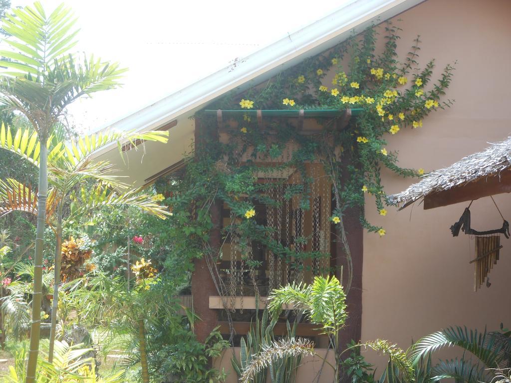 Jungle Flower Guest House San Jose  Exterior photo