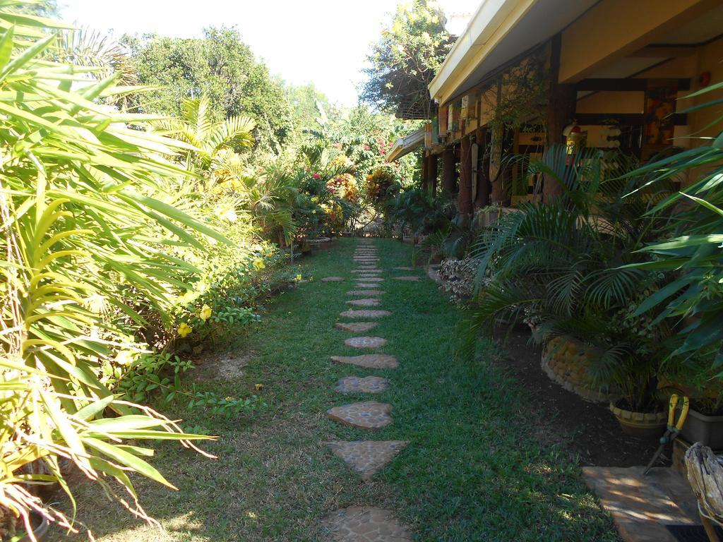 Jungle Flower Guest House San Jose  Exterior photo