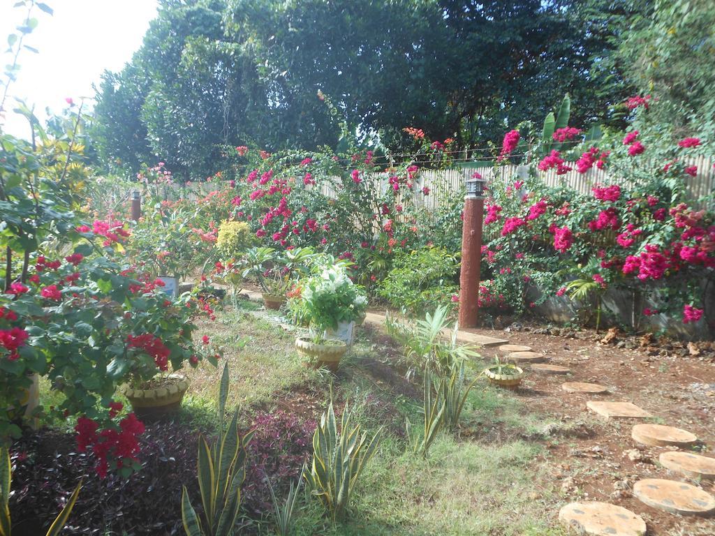 Jungle Flower Guest House San Jose  Exterior photo