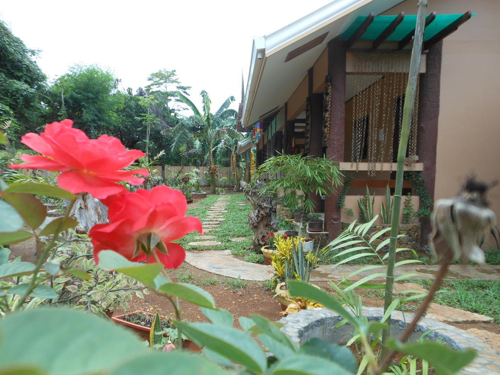 Jungle Flower Guest House San Jose  Exterior photo