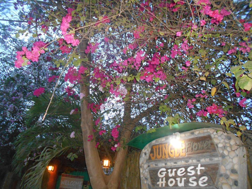 Jungle Flower Guest House San Jose  Exterior photo