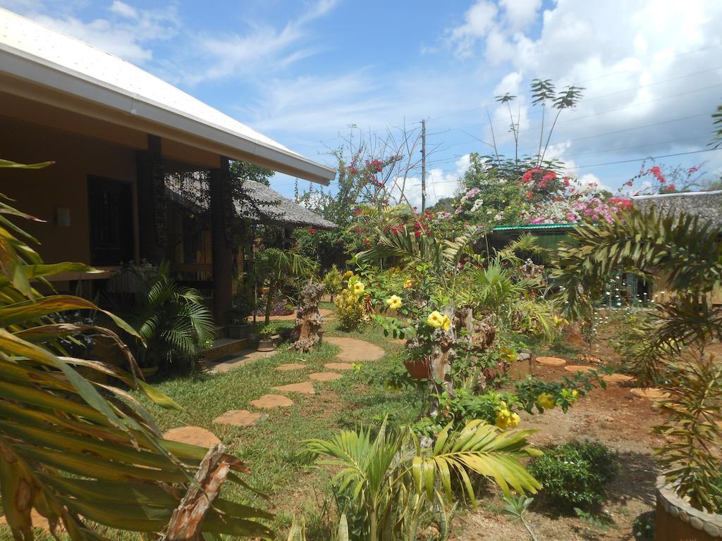 Jungle Flower Guest House San Jose  Exterior photo